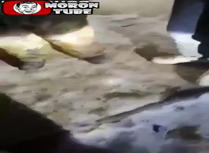 Video :Ukraine is winning the battle because of this! (NSFW)